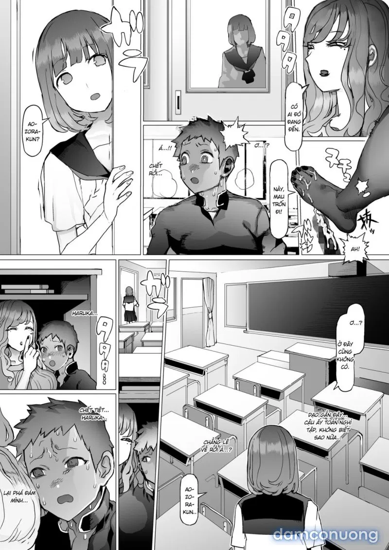 Seishun Soushitsu 