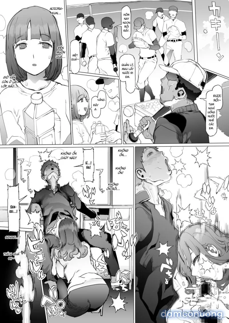Seishun Soushitsu 