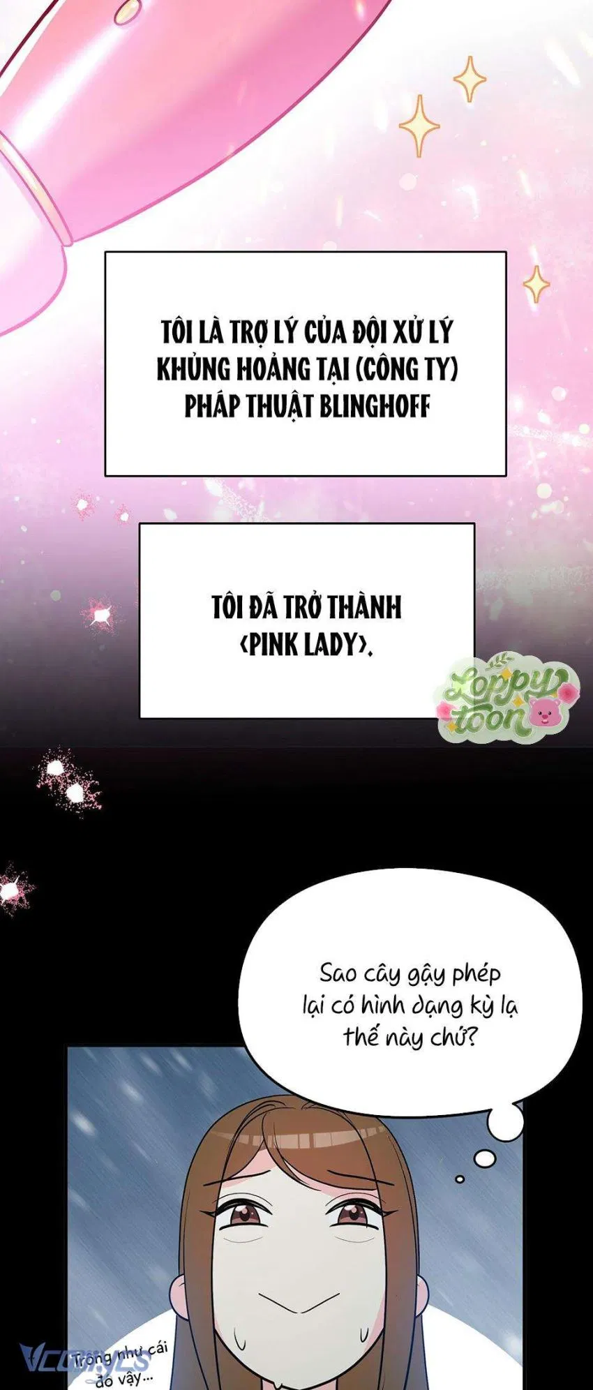 Pháp Trượng Ma Thuật Huyền Diệu 