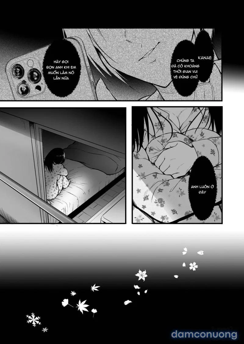 Tomodachi | Friends 
