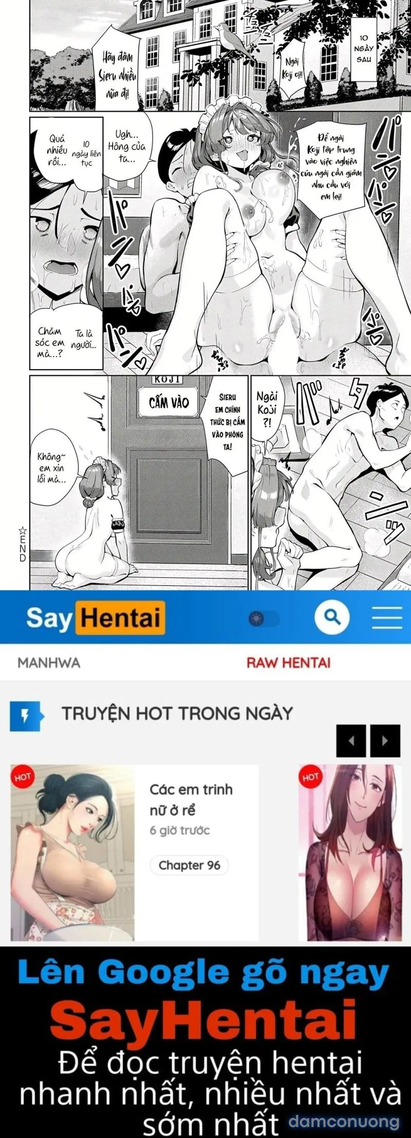 Seiru không ở một mình 